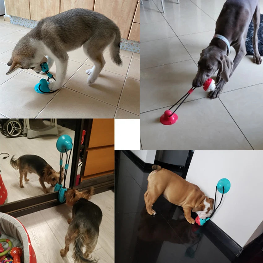 Juguetes para perros con ventosa de silicona